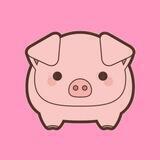 PIG CLASSIC