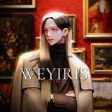 Прайс WEYIRIS