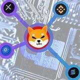 Shiba Link Group Discuss