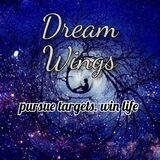 ✨Dream wings ® ✨