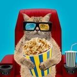 Мультфільми 🇺🇦🍿🎥