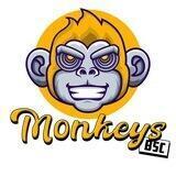 Monkeys BSC (Portal)