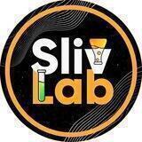 SlivLab ОТЗЫВЫ | Сливы криптоканалов!