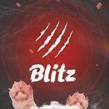 Blitz | Корма для кошек и собак