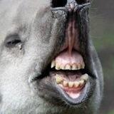 ОМЕРЗИЛИЩЕ