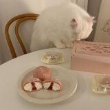 short-cakes! open =͟͟͞ ♡