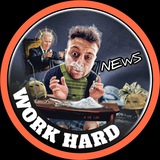 КАМИКАДЗЕ NeWs