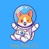 Baby Shiba 2.0 | BSHIB2.0