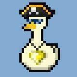 Pirate Ducks Club