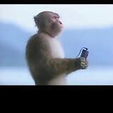 im短信