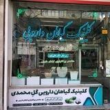 کلینیک گیاهان دارویی گل محمدی