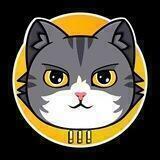 Catcoin!!! PORTAL