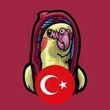 Bird Bro Türkiye 🇹🇷