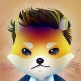 ELONFLOKI Token GP