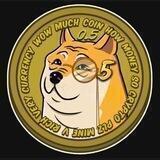 Senior Doge 0.5
