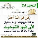 🪴✿ السلفية منهج الحياة ✿🌵