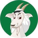 Saudi Goat