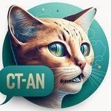 Chat The Open Network