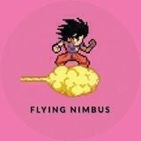 FLYING NIMBUS PORTAL