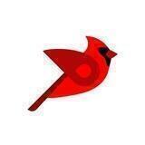 DexRocket Bird