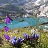 Мountains inside / Горы внутри /