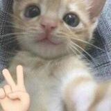 ౨ৎ 𝅼 ֹ ₊ woi woi! ⓘ ˳ֹ