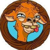Crazy Llama EN