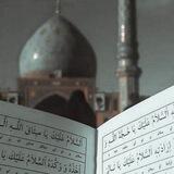 قناة السايت.
