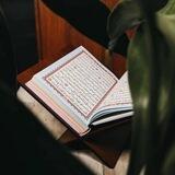 آلـ حَافِظَةُ.🌱