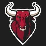 🐂황소 파동🐂