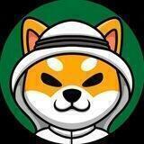 SAUDI SHIBA INU CHINA 🇨🇳