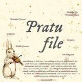 𑁍 — Pratufile