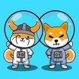 Galaxy Pets BSC Portal