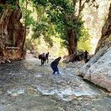 تفرجگاه برادران صحرائی