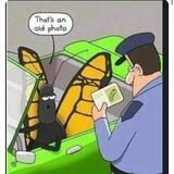 MetamorphosisAI