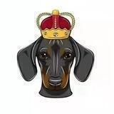 DogeKing Official