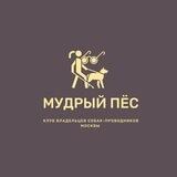 Клуб "Мудрый пес"