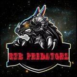 PREDATORS GAMİNG