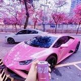 流夏公共频道