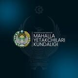 Yetakchi kundaligi