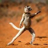 Lena Hey Macarena