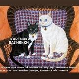 КАРТИНКИ ВАСИЛЬКИ 2.0