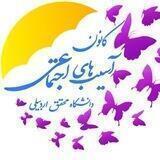 کانون آسیب‌های اجتماعی