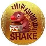 Newtella Shake Italy