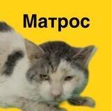 Матрос со льдины. Коломенская