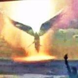 Neulaender tv Videos