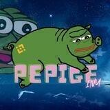 PEPIGE Inu - Official Launch