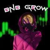 BNB GROW PORTAL