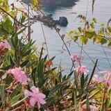 انوار الروح