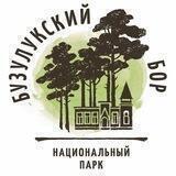Бузулукский бор